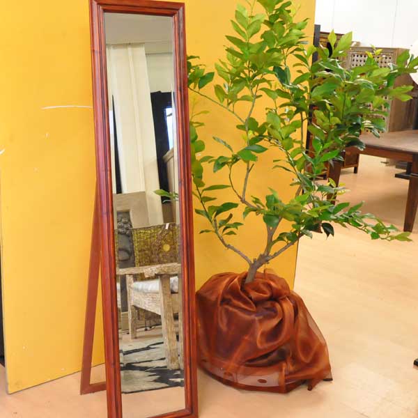 Roma Stehspiegel 40 x 170 Rot